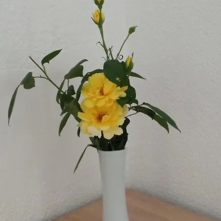 Em-bajkeraj Διαμέρισμα Bihać